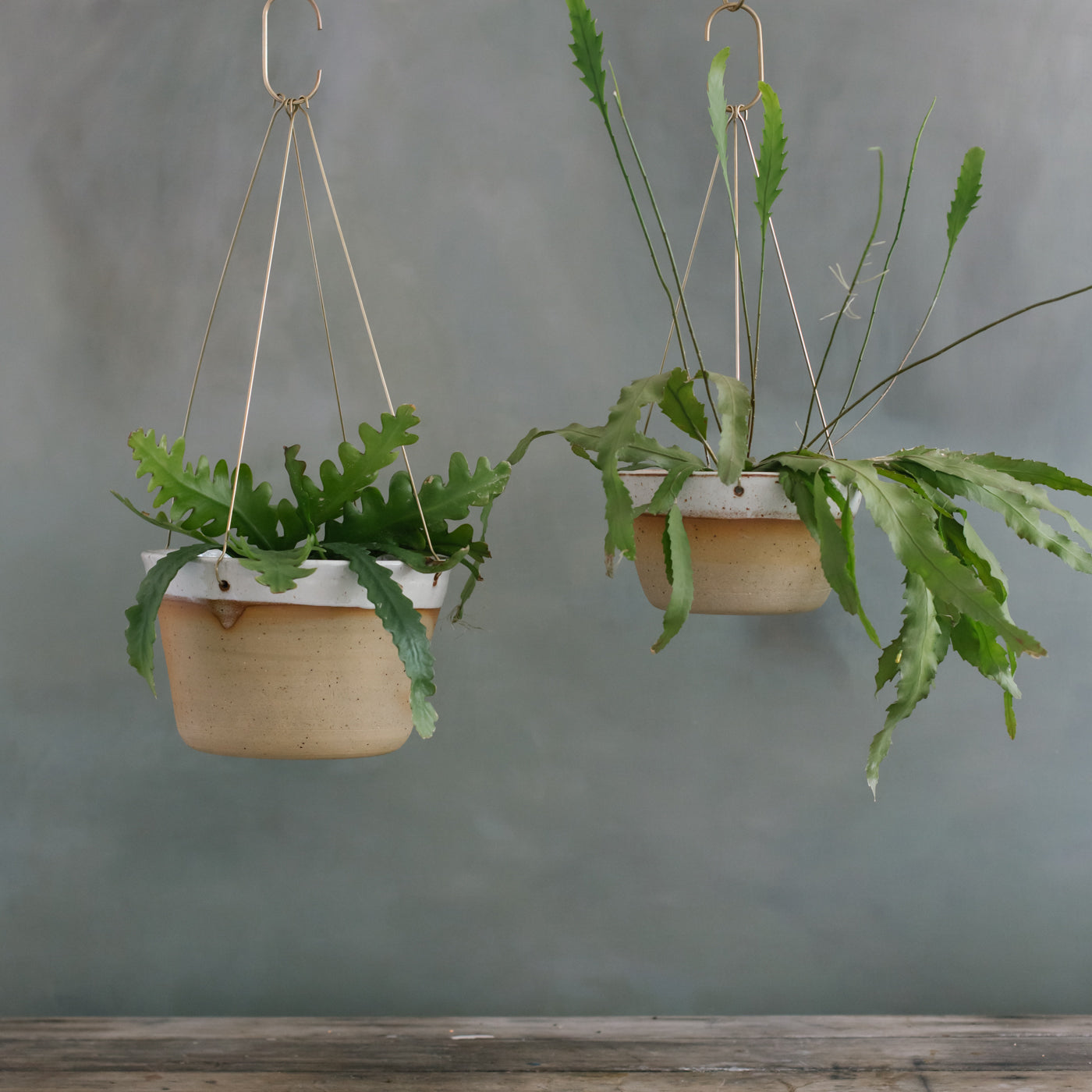 atsu brass hanging planter Desert Brass Hanging Planter – Leaf and Thread