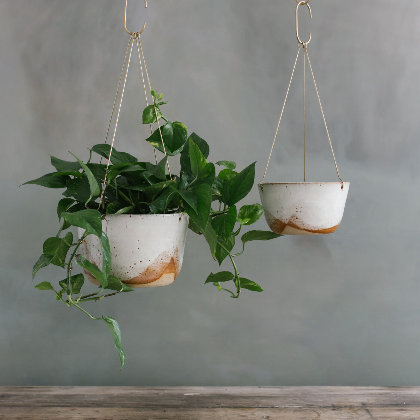 faceted hanging planter Glacier Brass Hanging Planter – Leaf and Thread