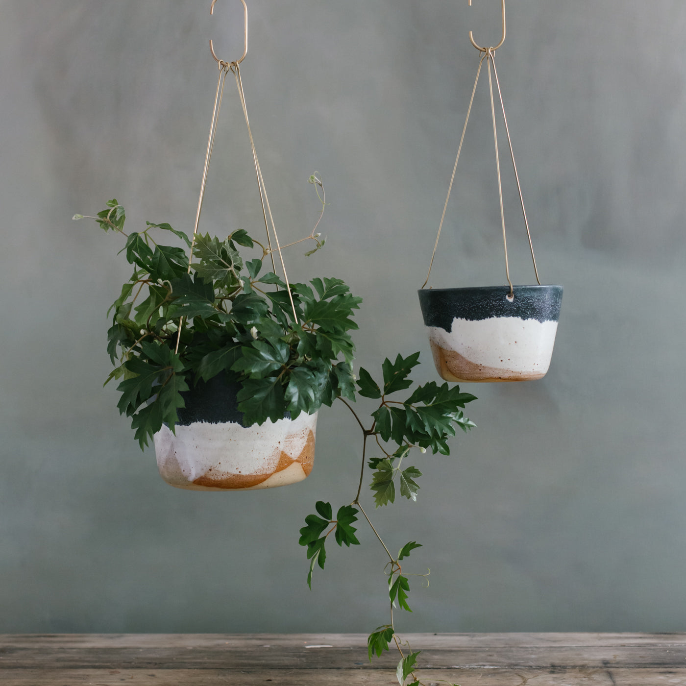 brass hanging planter Landscape Brass Hanging Planter – Leaf and Thread