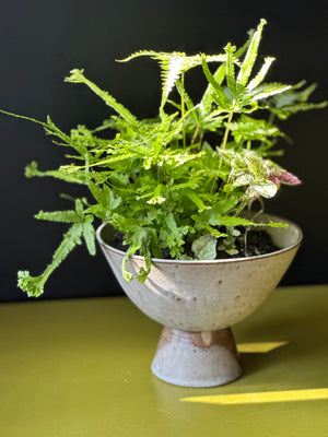 Sculptural Planter Version 1
