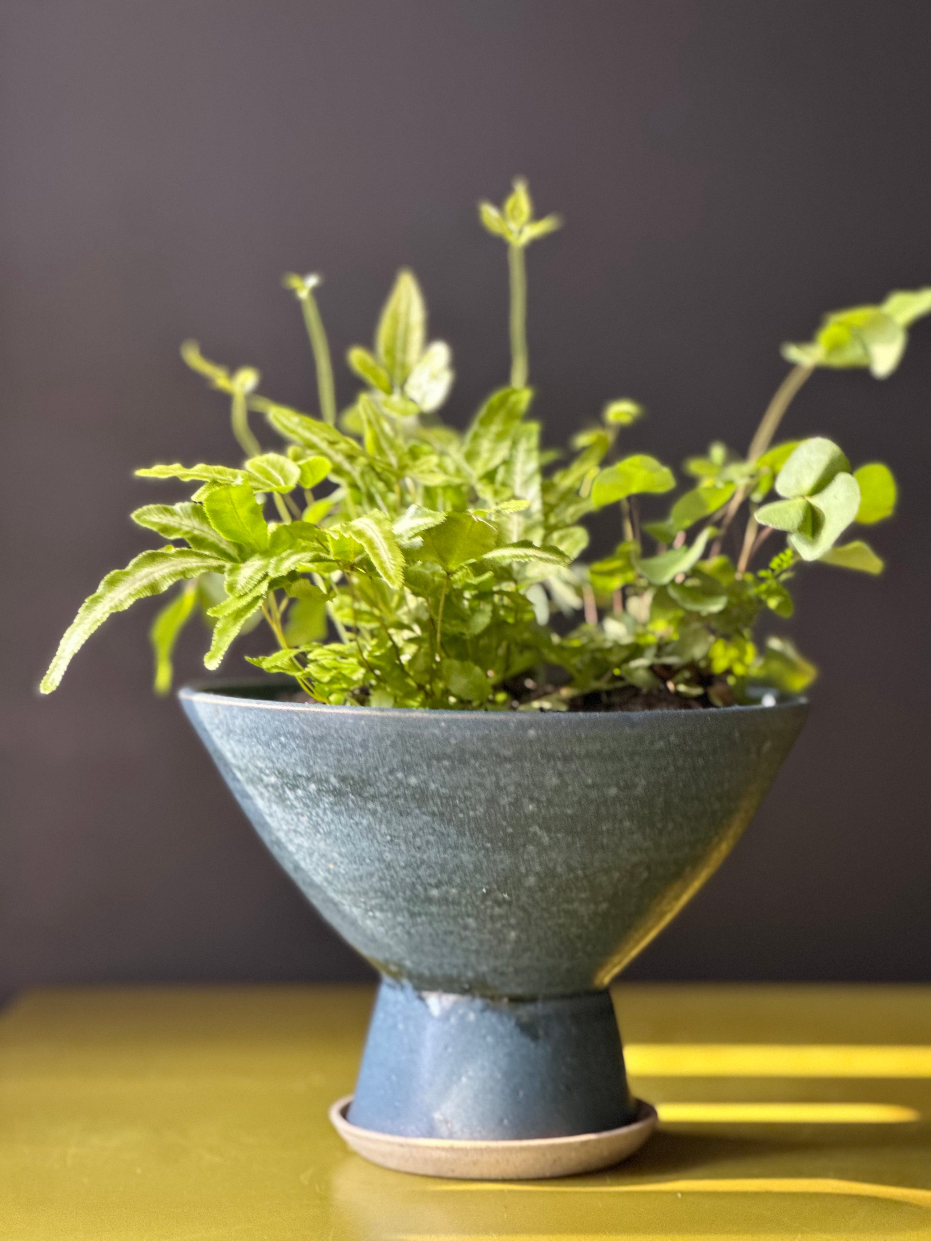 Sculptural Planter Version 1