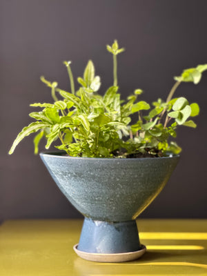 Sculptural Planter Version 1