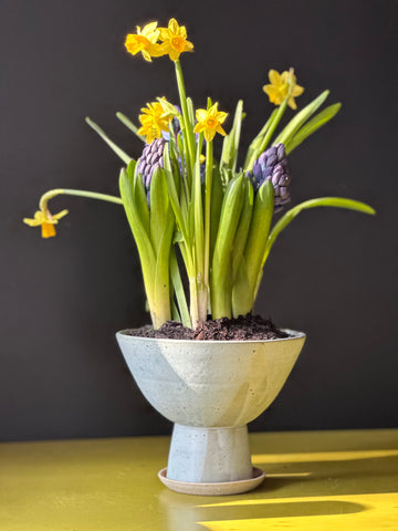 Sculptural Planter Version 1