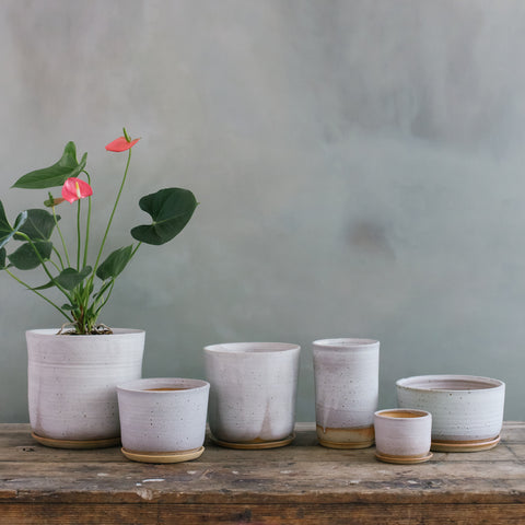 Pots & Planters – Leaf and Thread