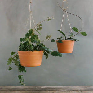 hanging planter brass Terracotta Brass Hanging Planter – Leaf and Thread