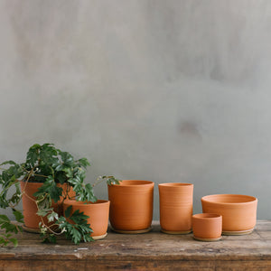 Terracotta Planter